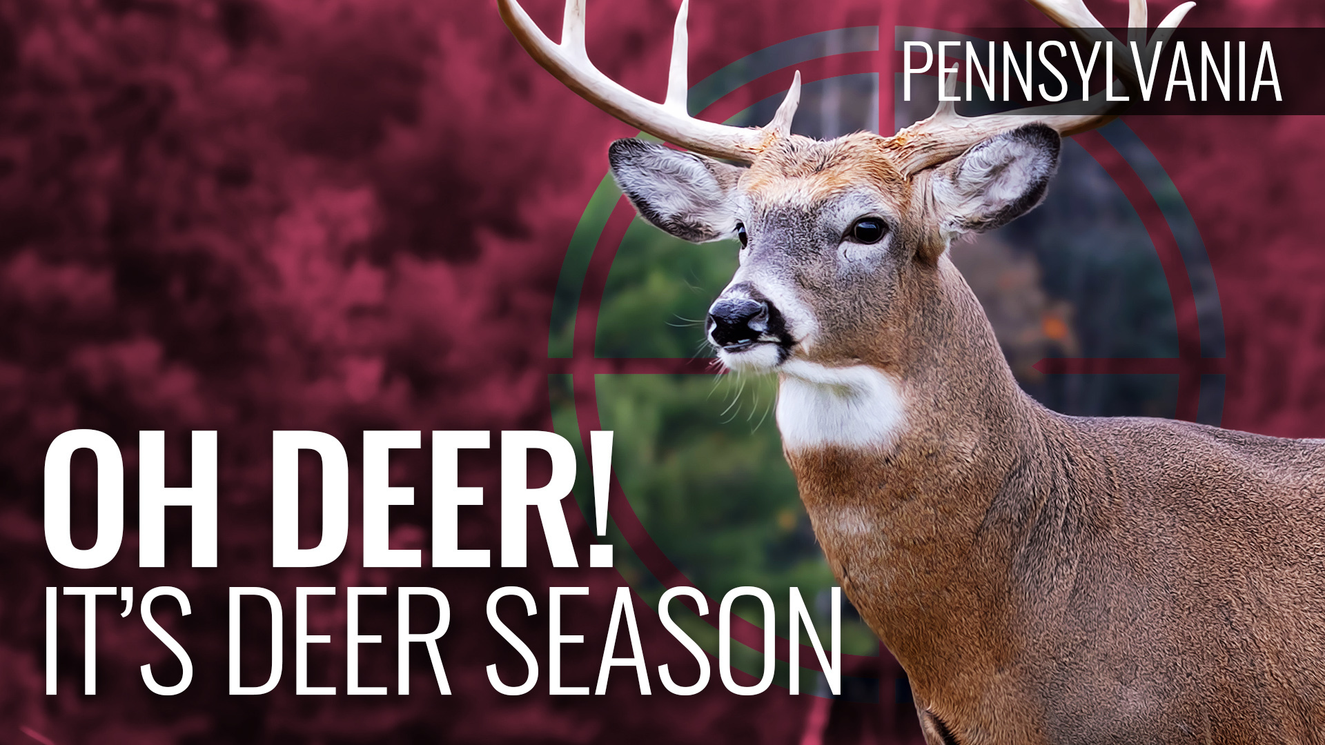 Oh Deer! It’s Deer Season in Pennsylvania! U.S. & Texas LawShield